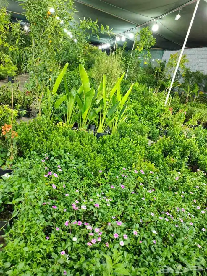 زراع طبيعي و مشتل زراعية طبيعي 4