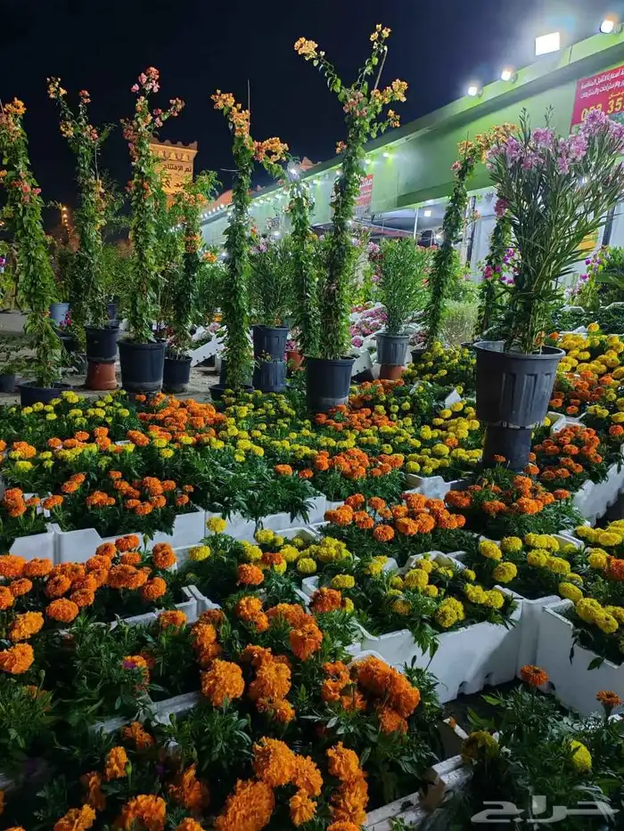 زراع طبيعي و مشتل زراعية طبيعي 0