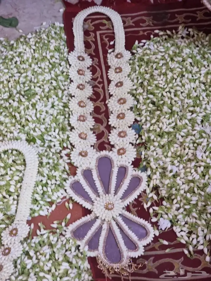 فل أشكال وأنواع 18