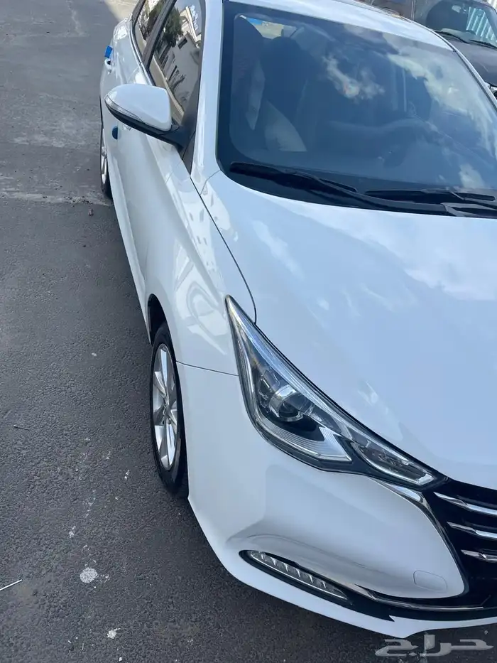 شانجان السفن 2024 9