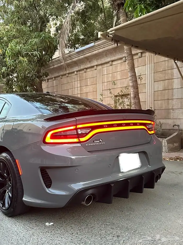 للبيع دوج تشارجر 2019. 4