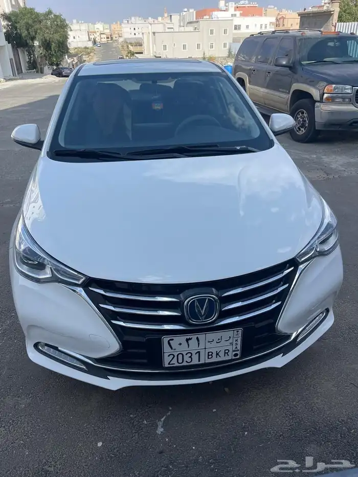 شانجان السفن 2024 0