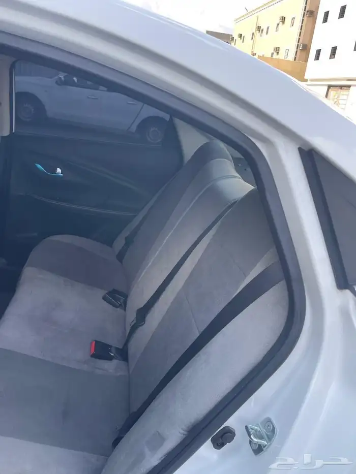 شانجان السفن 2024 7