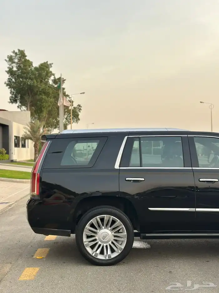 كاديلاك اسكاليد بلاتينيوم 2020 8