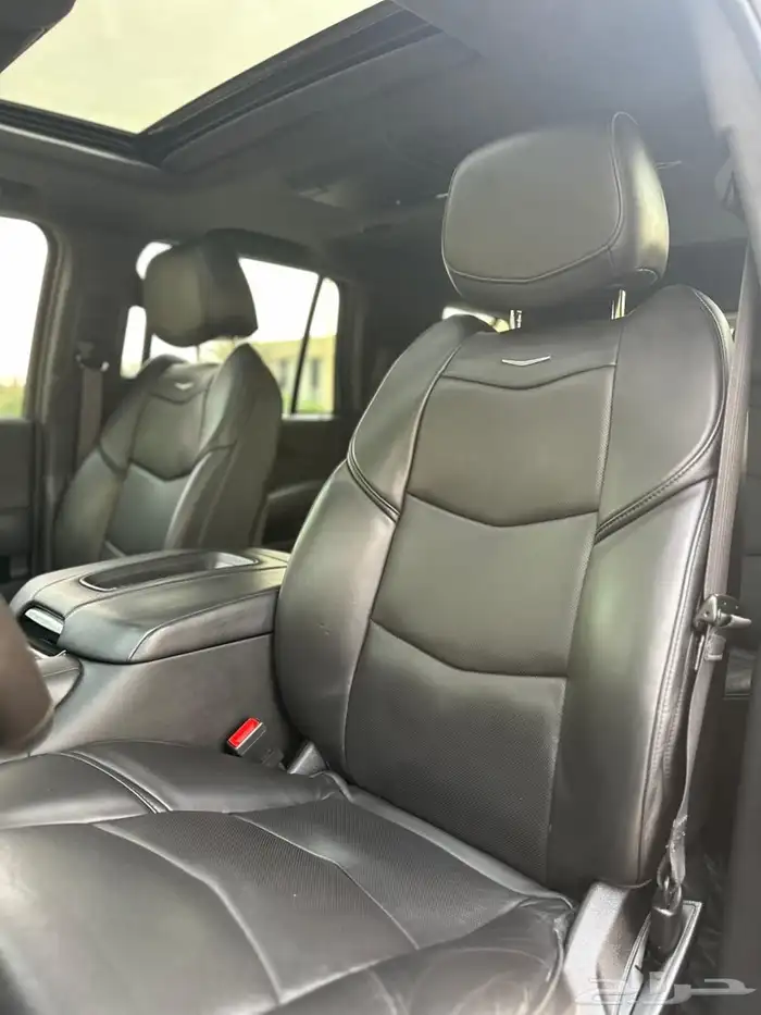 كاديلاك اسكاليد بلاتينيوم 2020 14