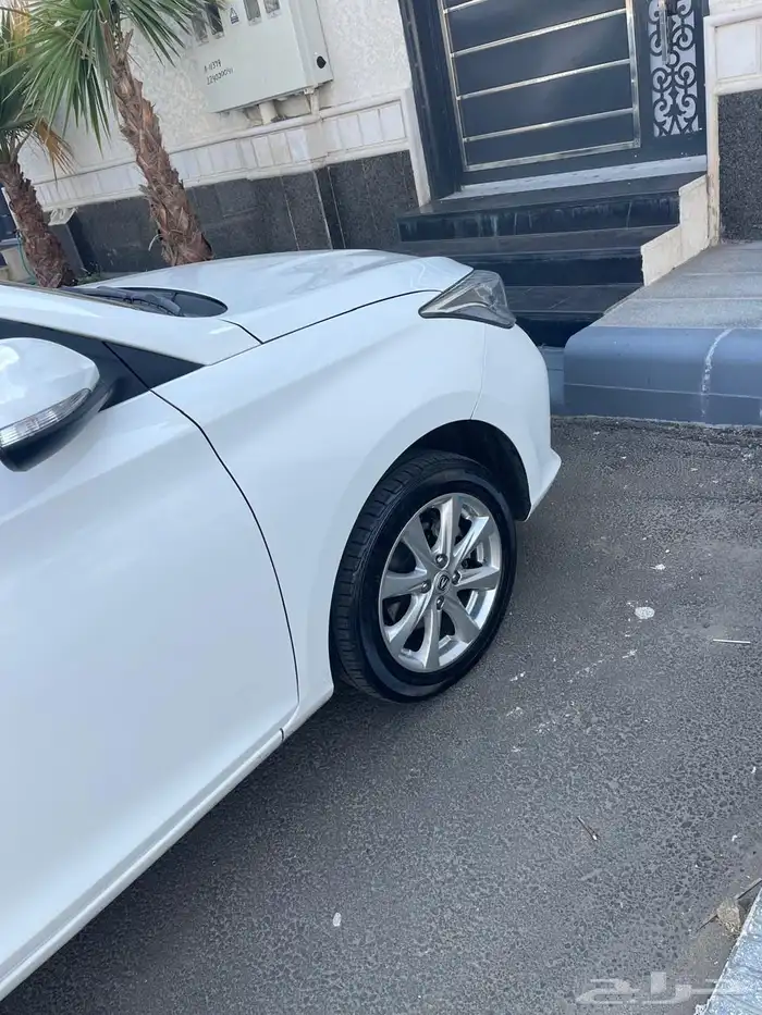 شانجان السفن 2024 2