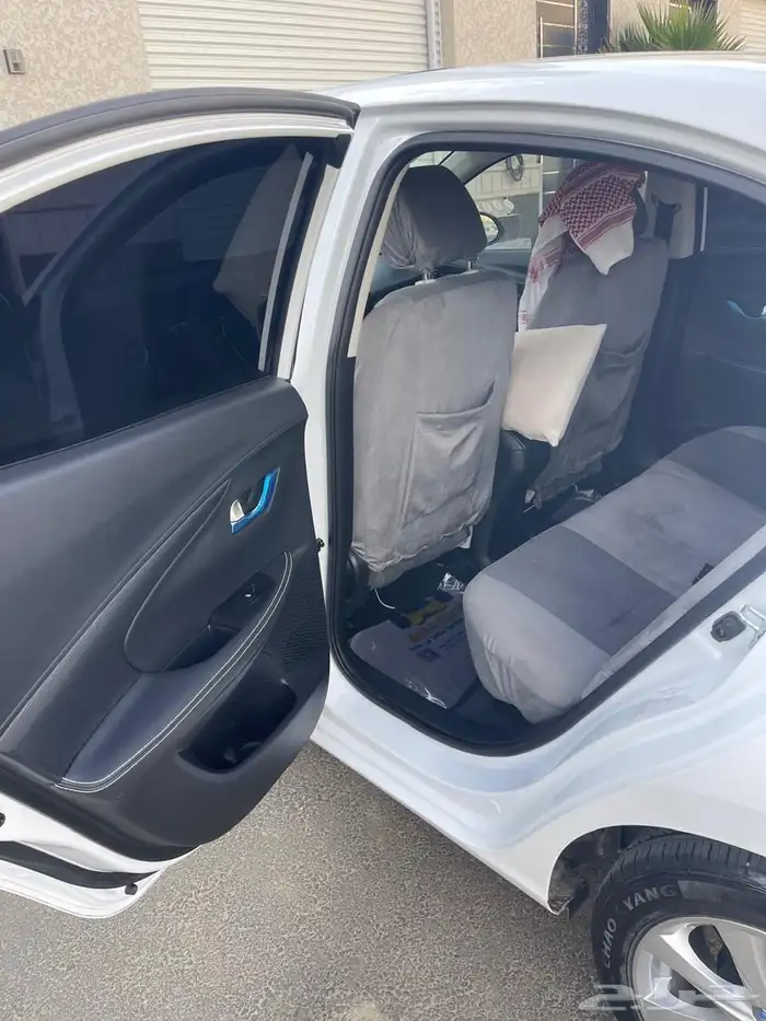 شانجان السفن 2024 8