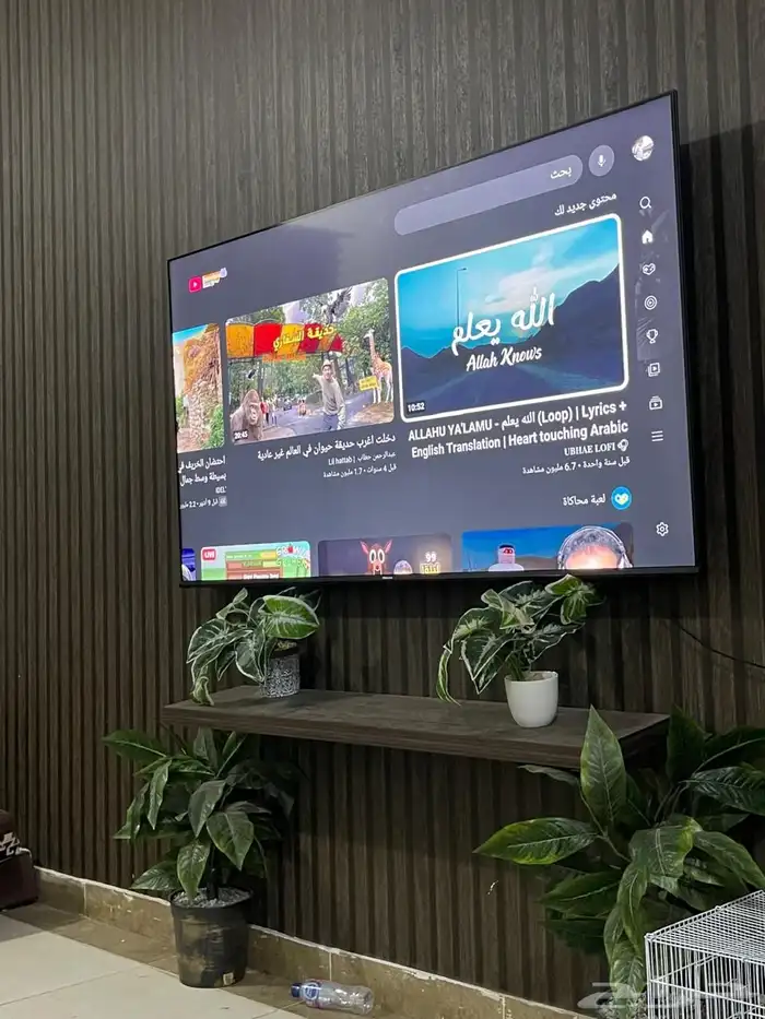 شاشه65 بوصة 6