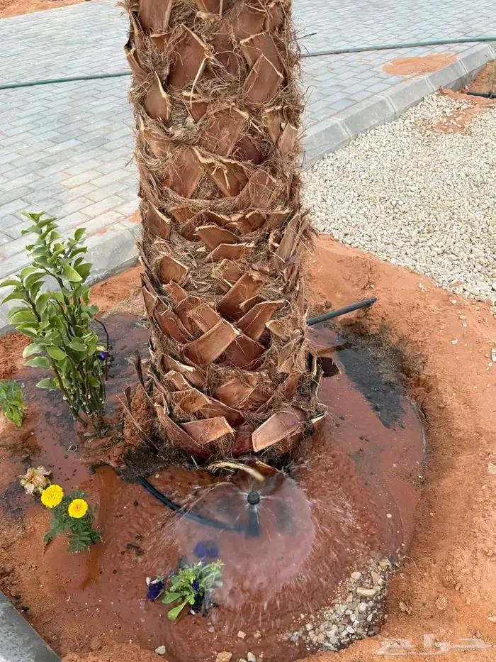 منتجع واسع و متكامل للإيجار اليومي في العمارية 10