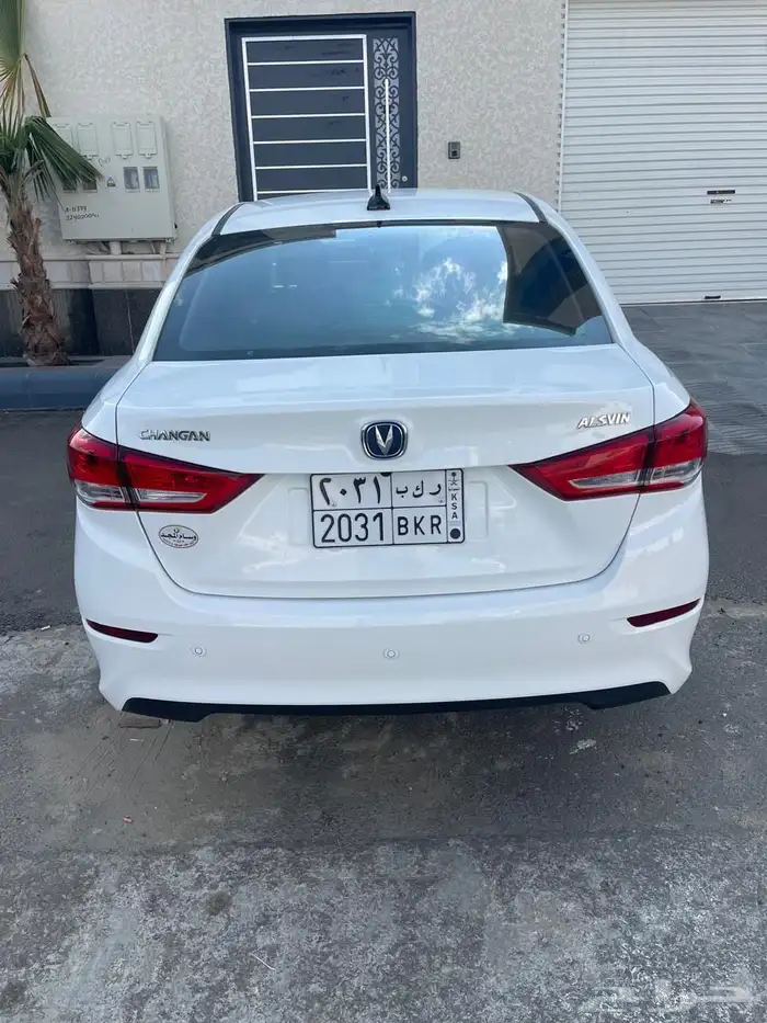 شانجان السفن 2024 5