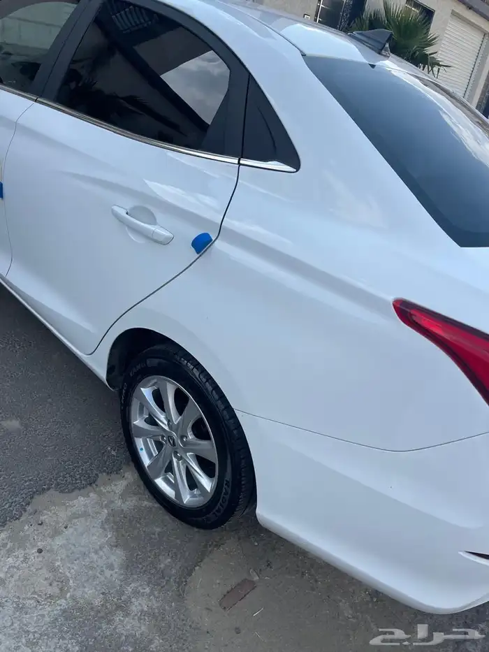 شانجان السفن 2024 6