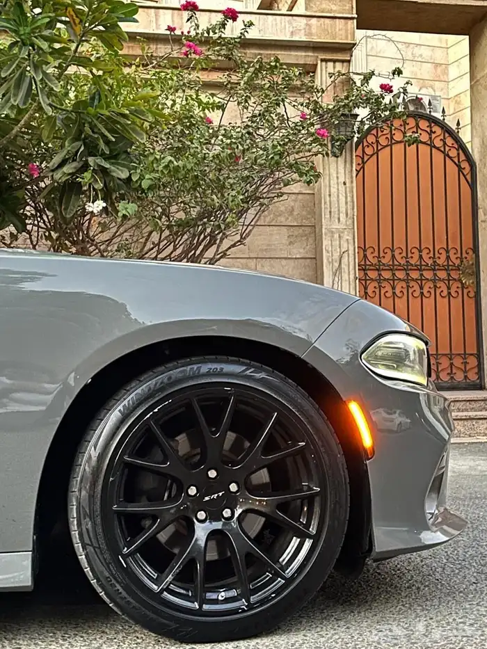للبيع دوج تشارجر 2019. 6