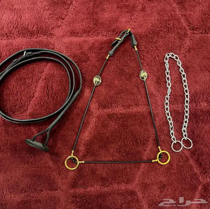 مستلزمات خيل 1