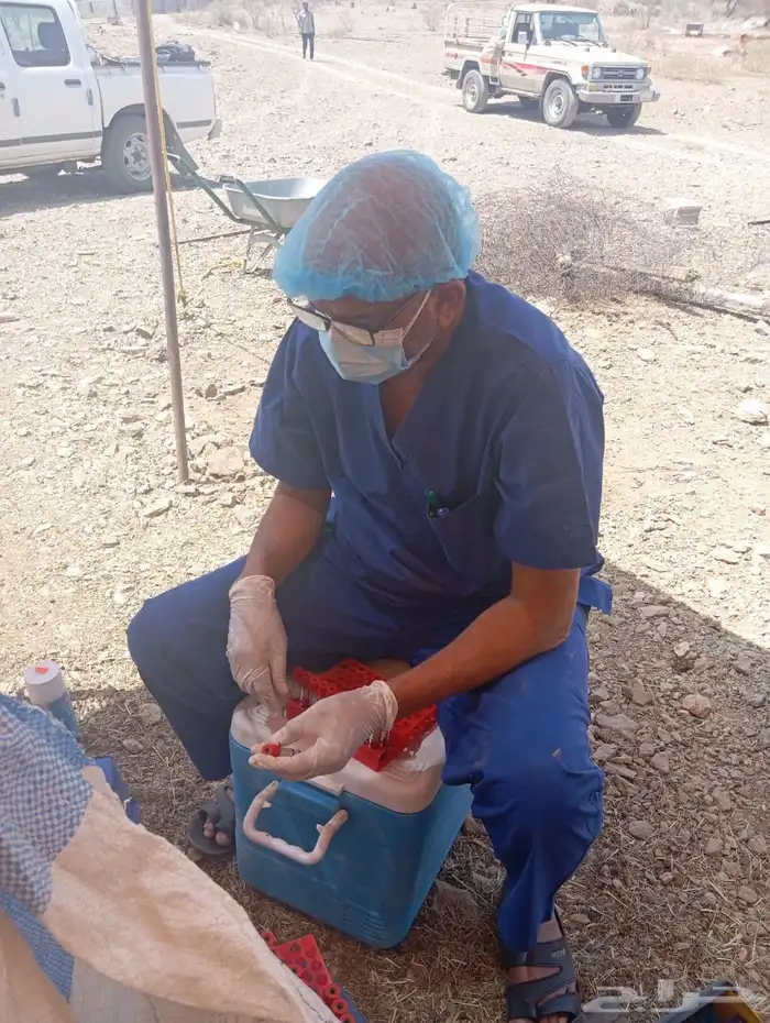 عيادة صفوة الجياد للرعاية البيطرية 6