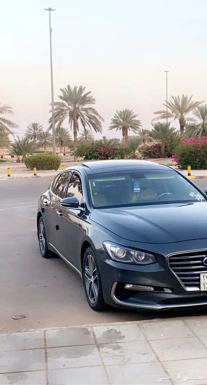 ازيرا 2020 بدي بلد الممشا 171 0