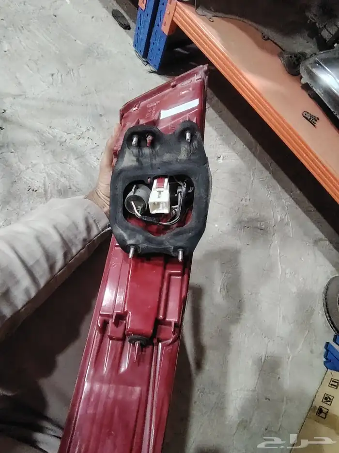 اصطب ابتيما 2017 وكاله يمين 0