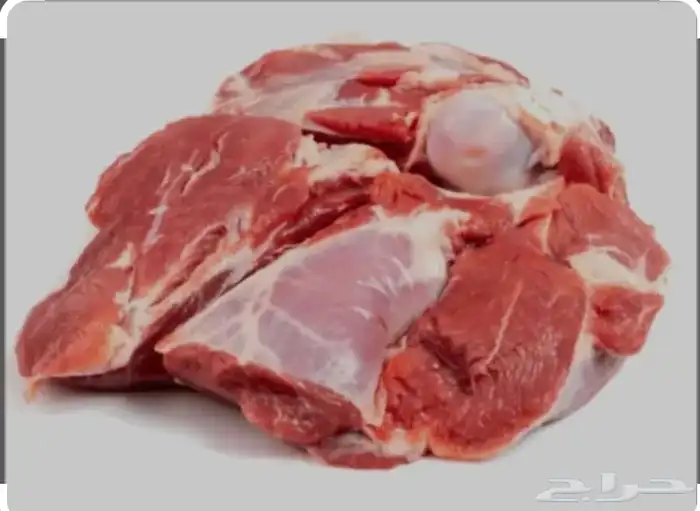 جزار ملحمه وسلاخ حاشي وغنم 0