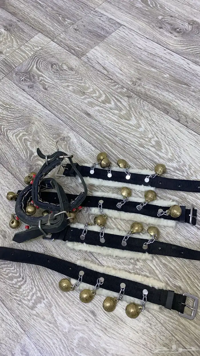 خلخال رقص خيل 0