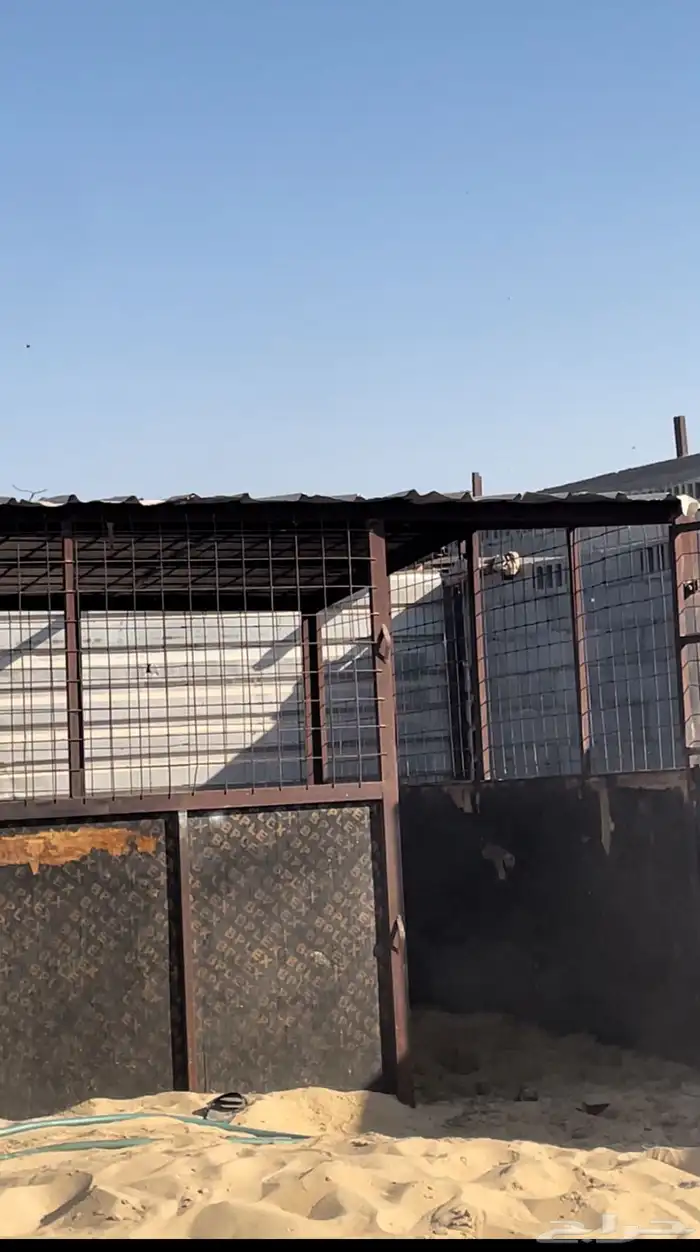 للبيع غرفه خيل 0