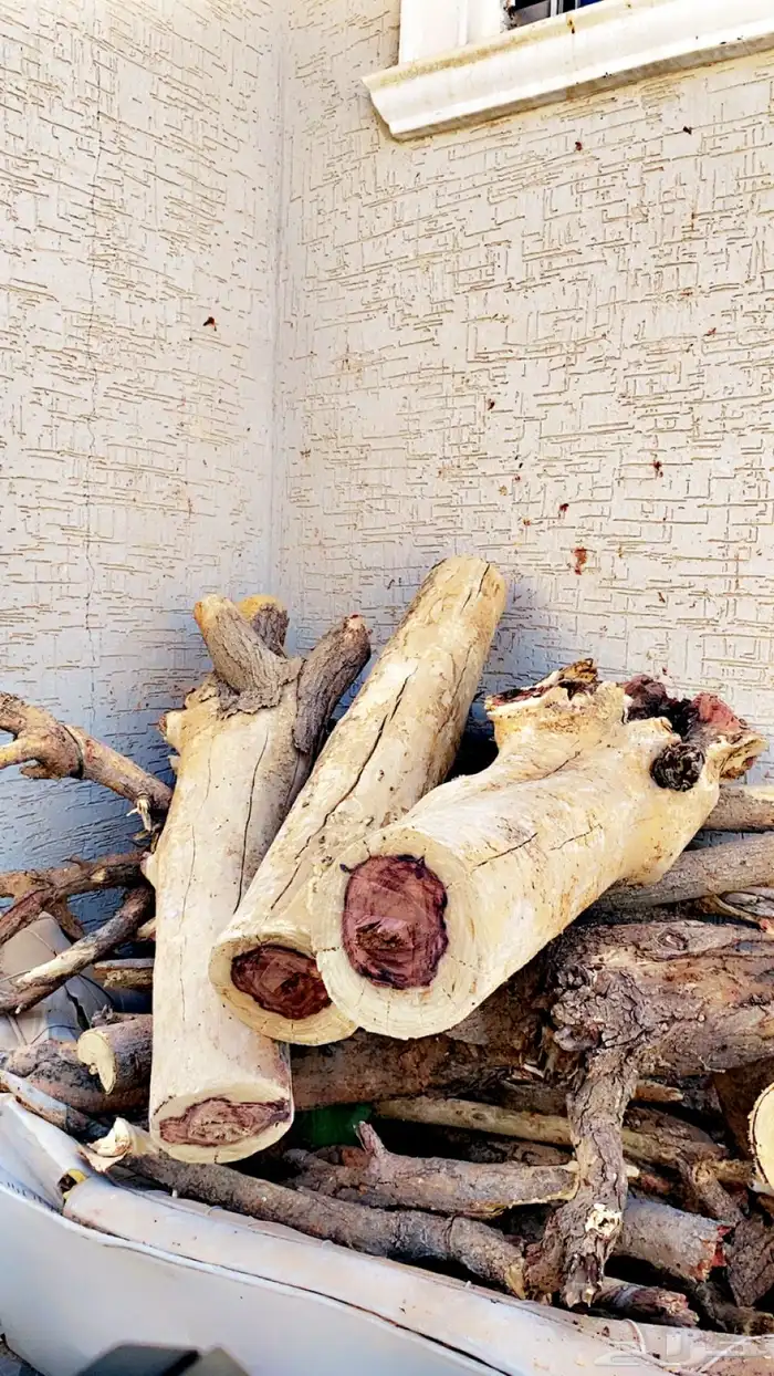 حطب أفريقي درجه أولى 1