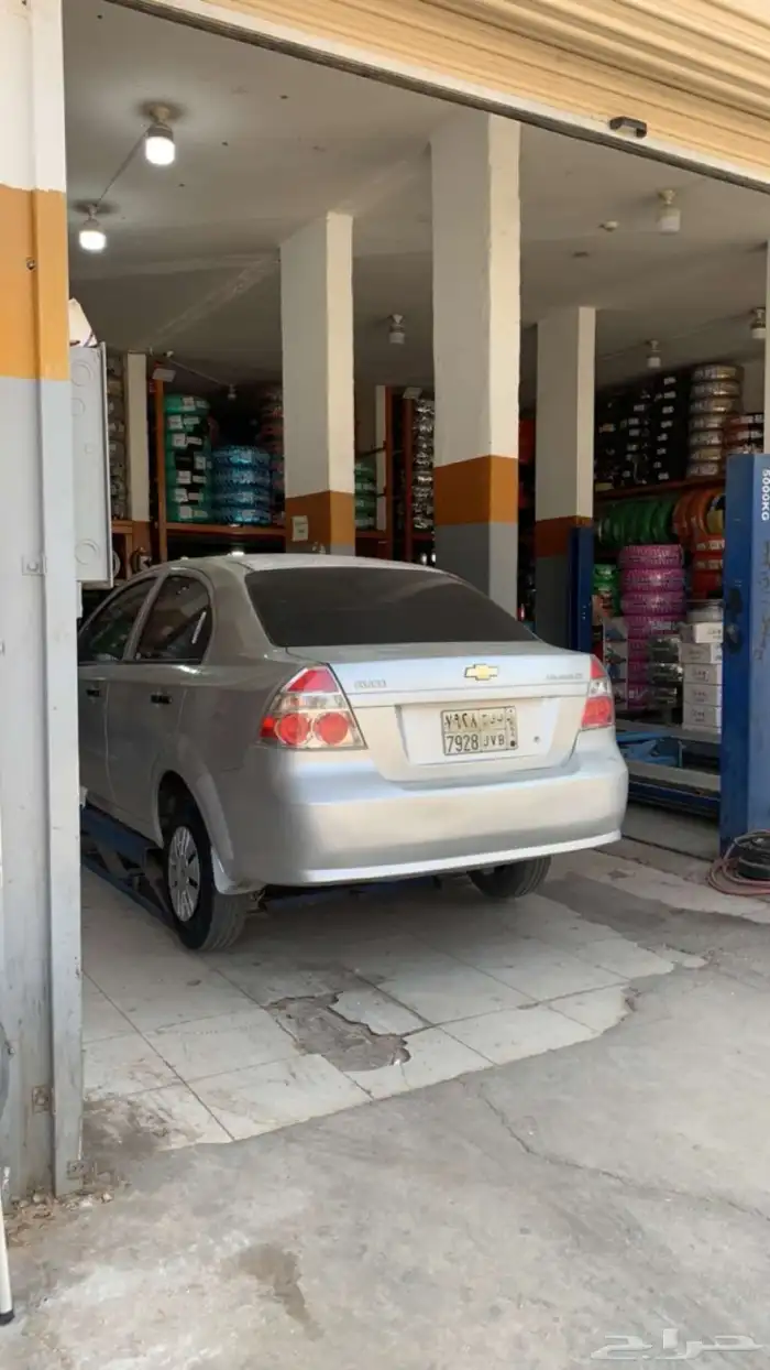 شفر افيو 2013 1