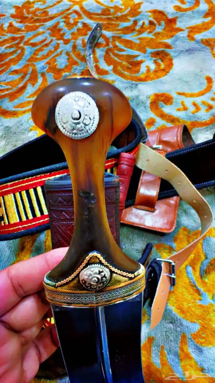 جنبيه زراف للبيع كفووو 0