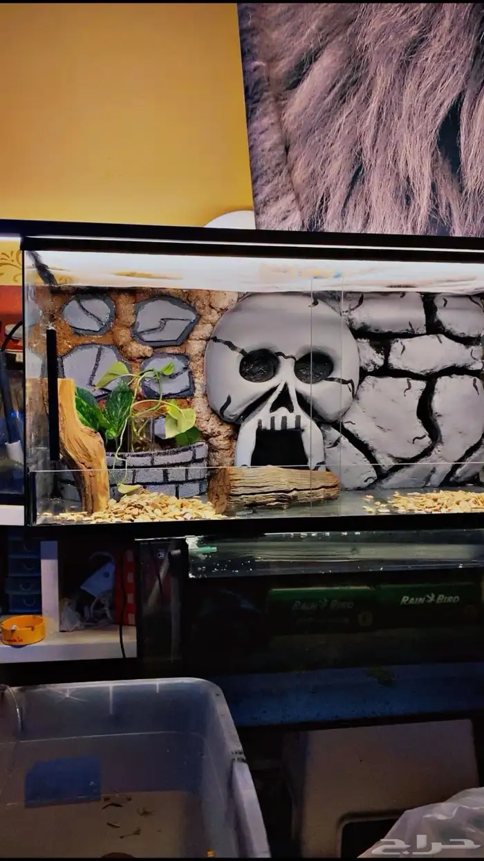 حوض سمك وزواحف تفصيل او صيانه الحوض 16