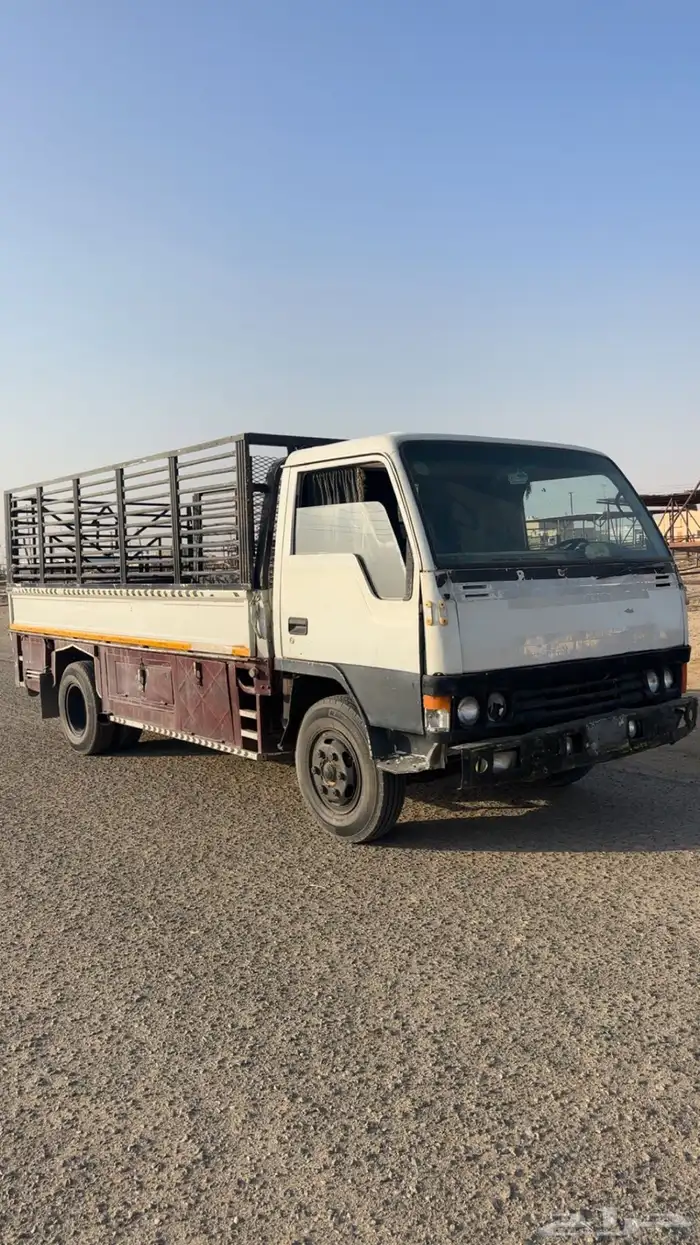 دنا شاص طويل 0