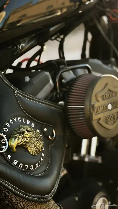 دباب هارلي سبوستر Iron883 index