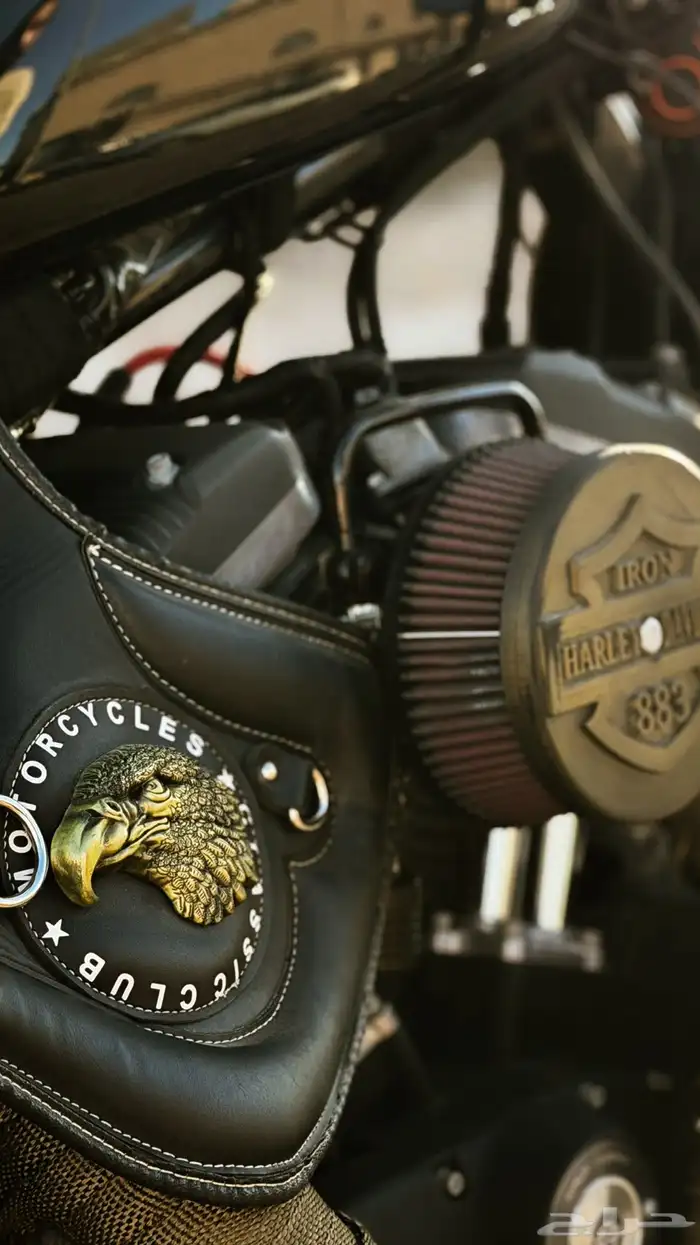 دباب هارلي سبوستر Iron883 2