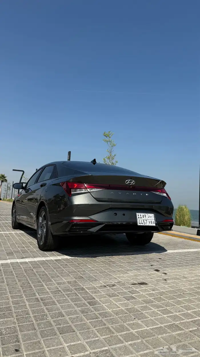 افانتي بنزين 2021 3