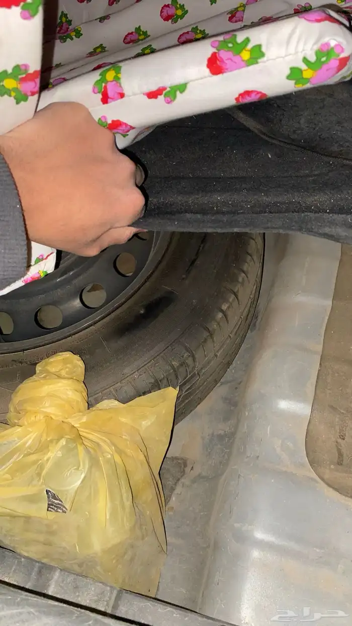 كيا بيقاس 2020 14