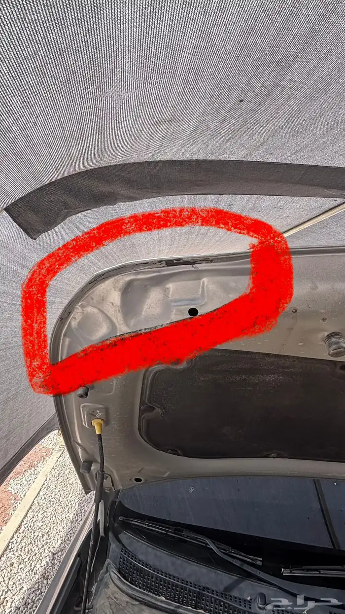 اكسنت 2023 ستاندر 8