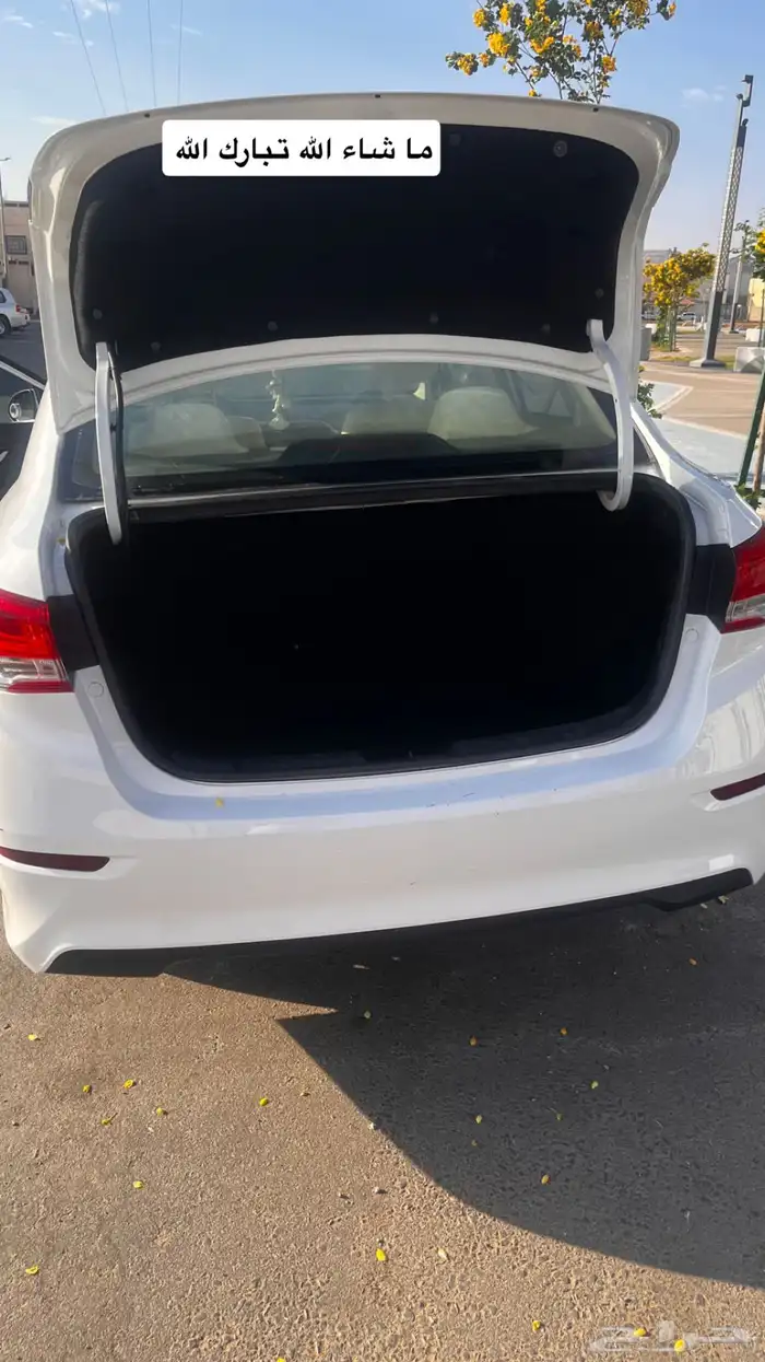 شانجان السفن 2023 نظيف ممشى قليل 6