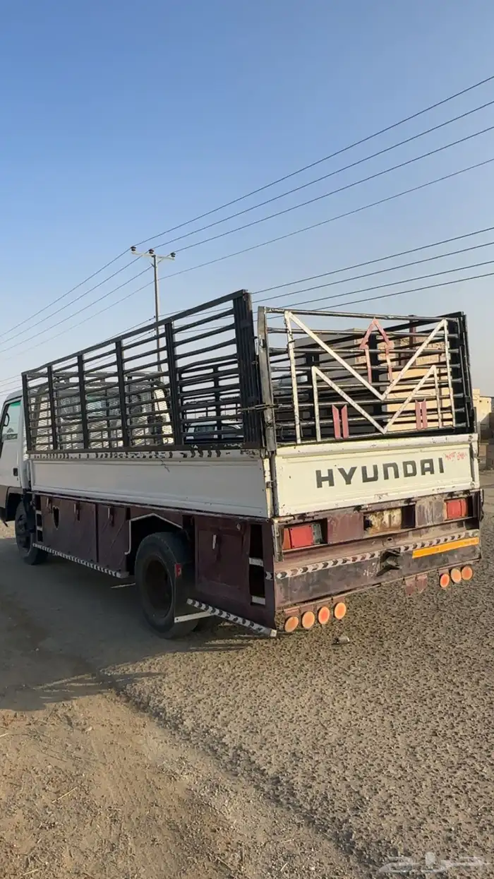 دنا شاص طويل 4