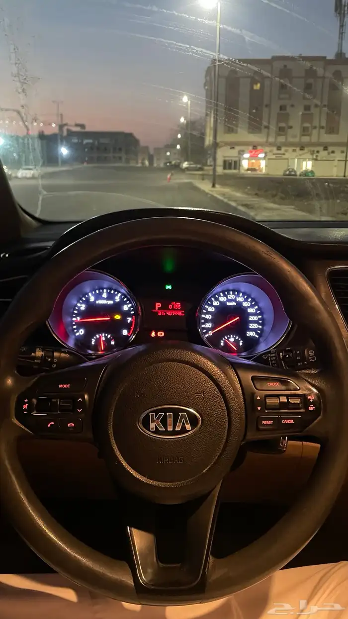 كارنفال للبيع 2019 8