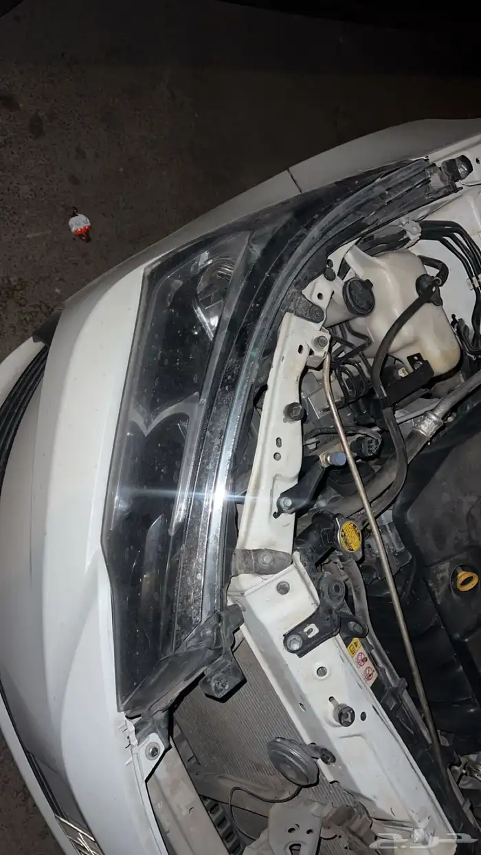 شمعه كورلاء وكبوت 0