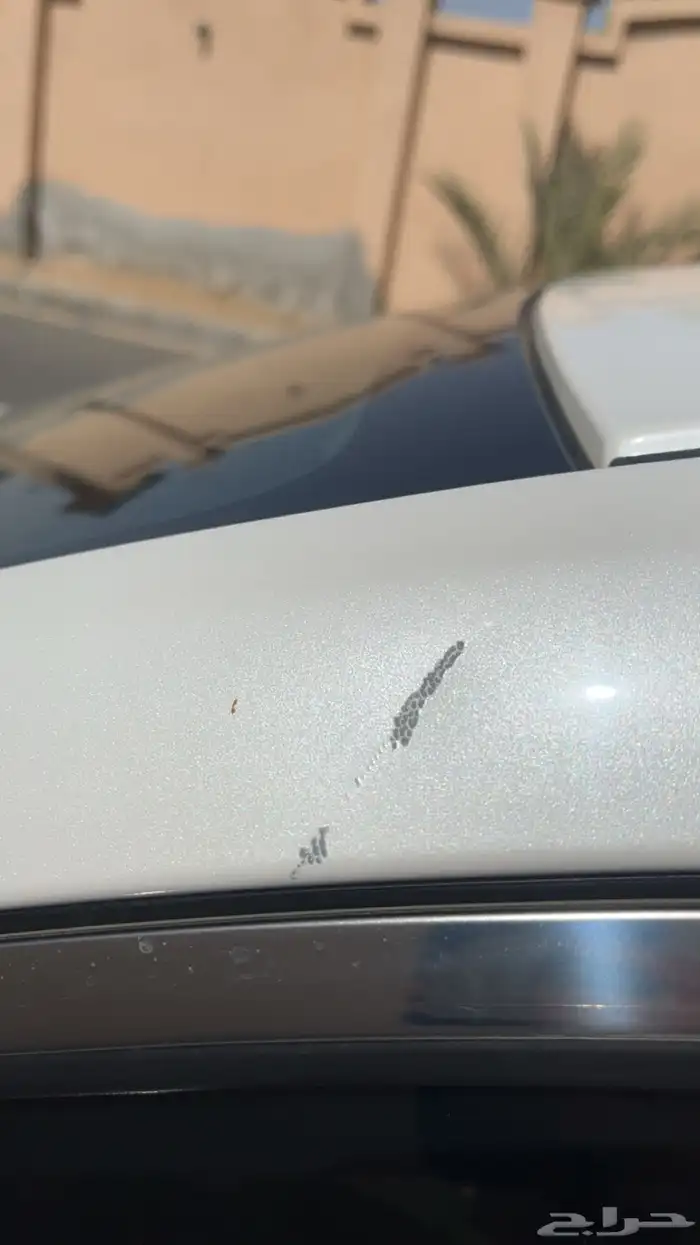 مازدا 6 ( 2022 ) فل كامل مالك اول 7