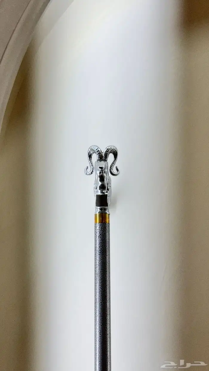 عصا (غدارة) 6