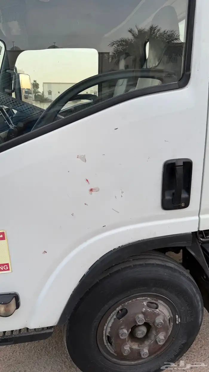 دينه ايسوزو 11