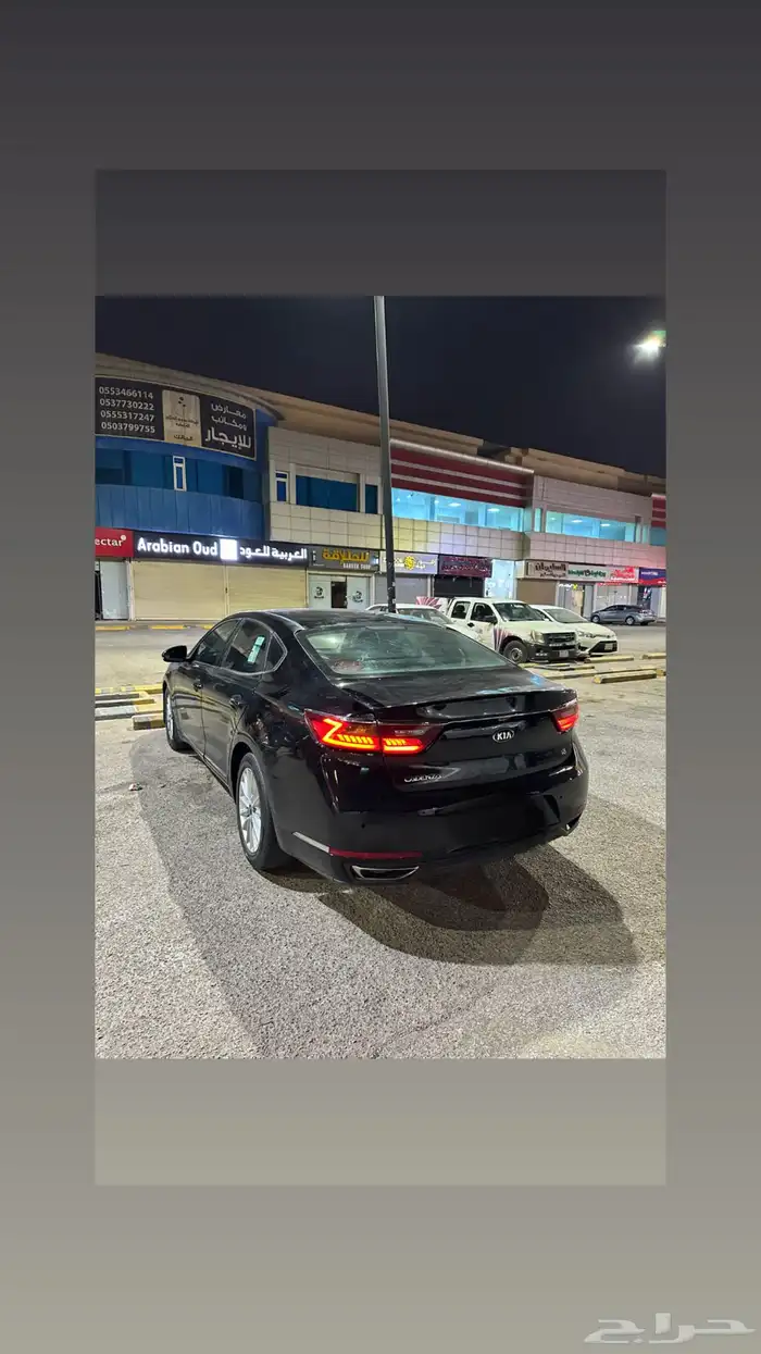 كادينزا 2017 1