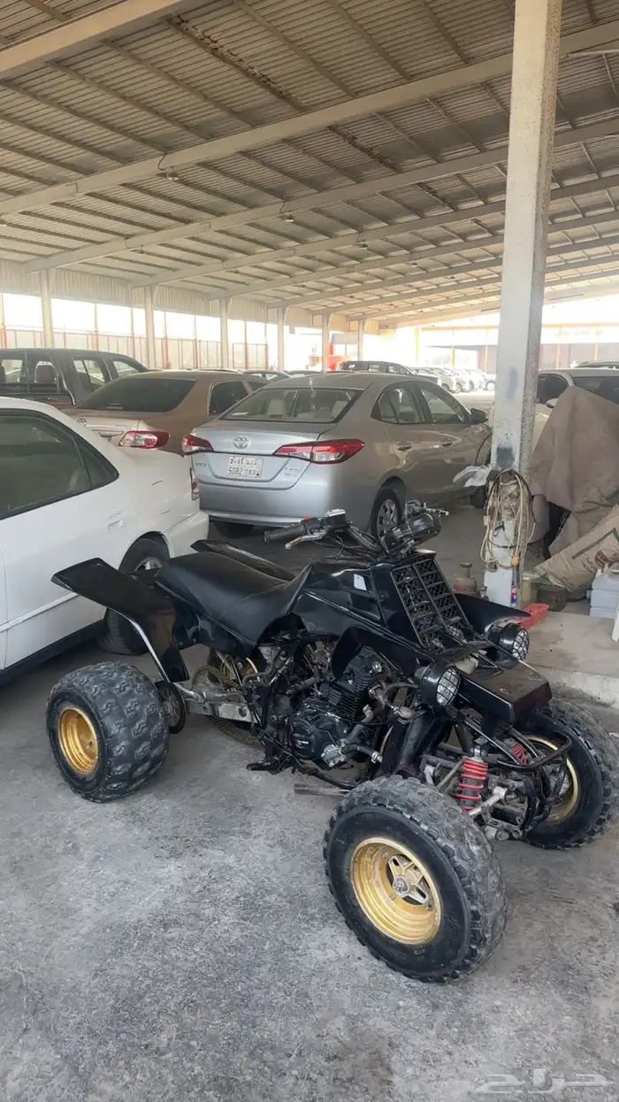 دباب بانشي 1