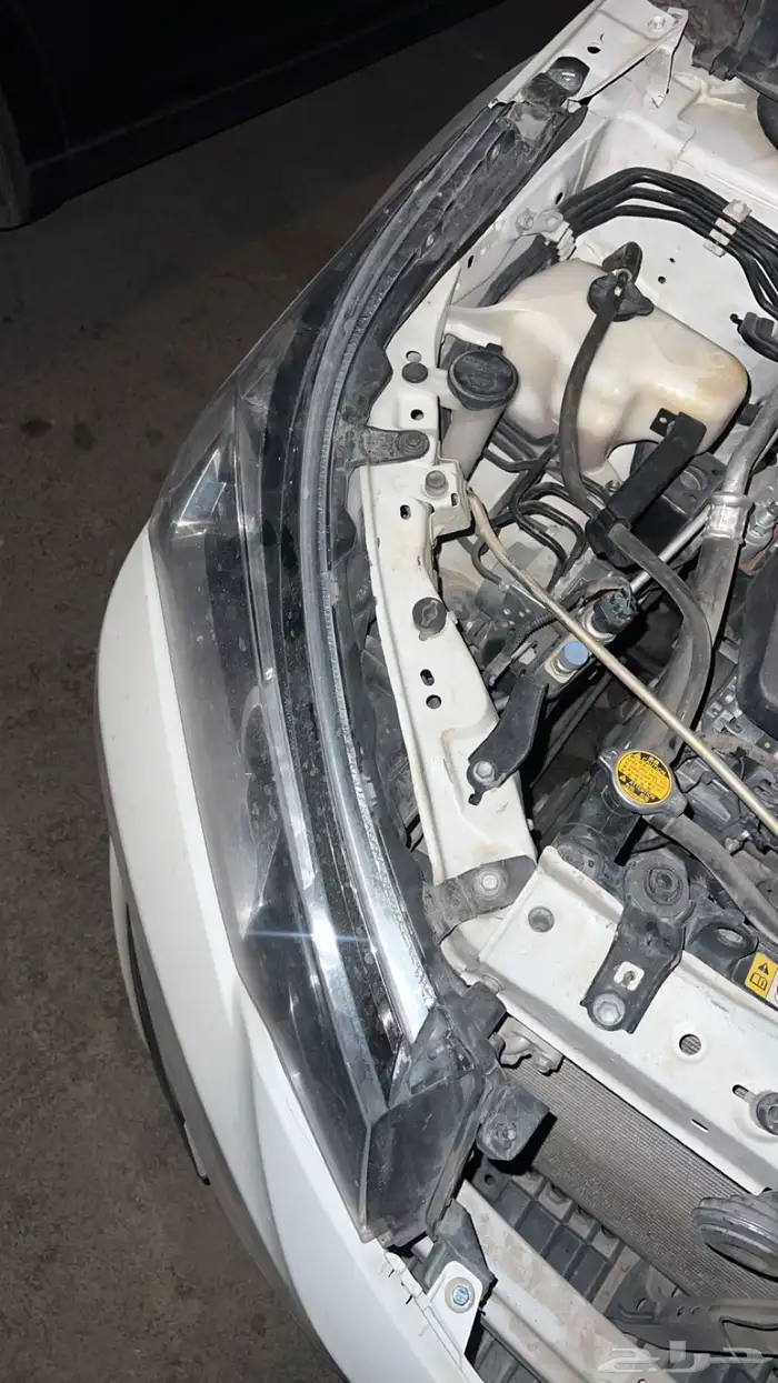 شمعه كورلاء وكبوت 2