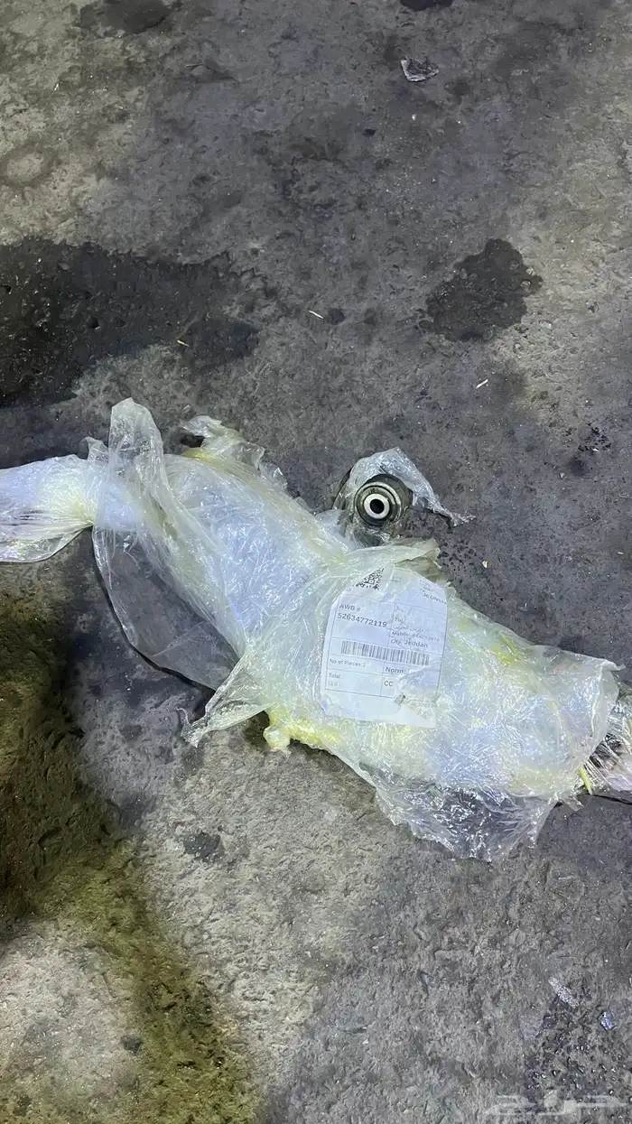 دودة دراكسون اكورد 2008 1