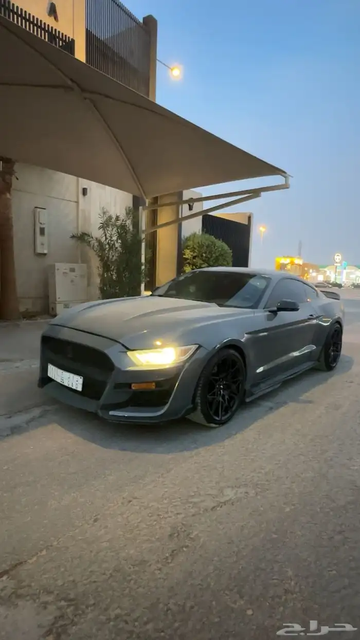 موستنج 2015 2