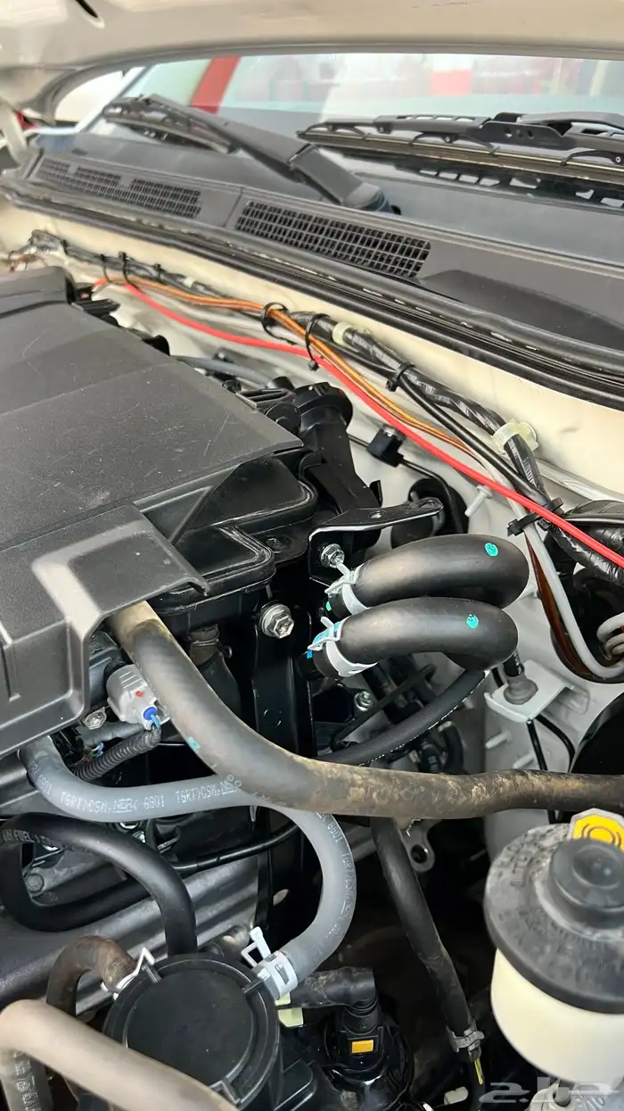 فورشنر 2011مخزن 13