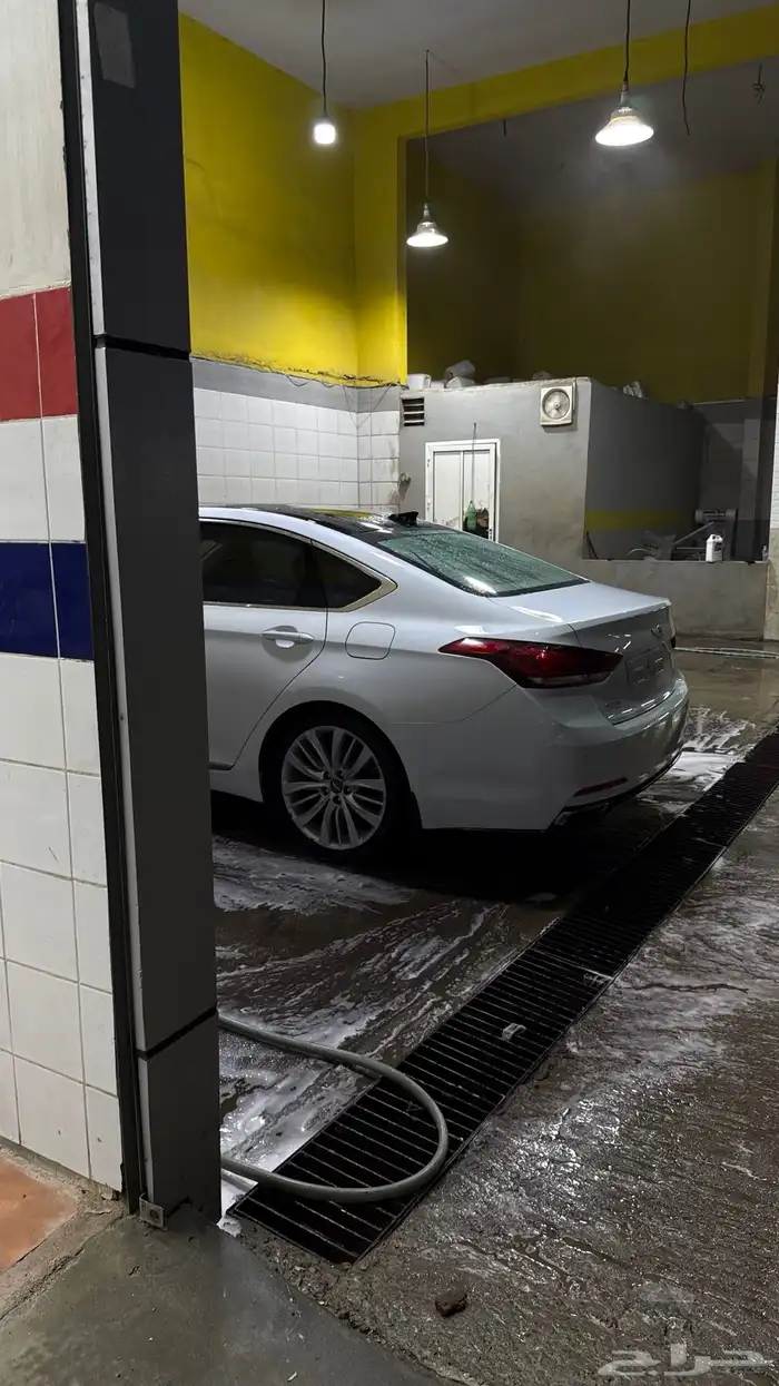 جينسس 2016 لؤلؤي 9