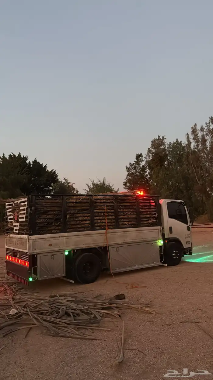 سعف نخل اللبيع 2