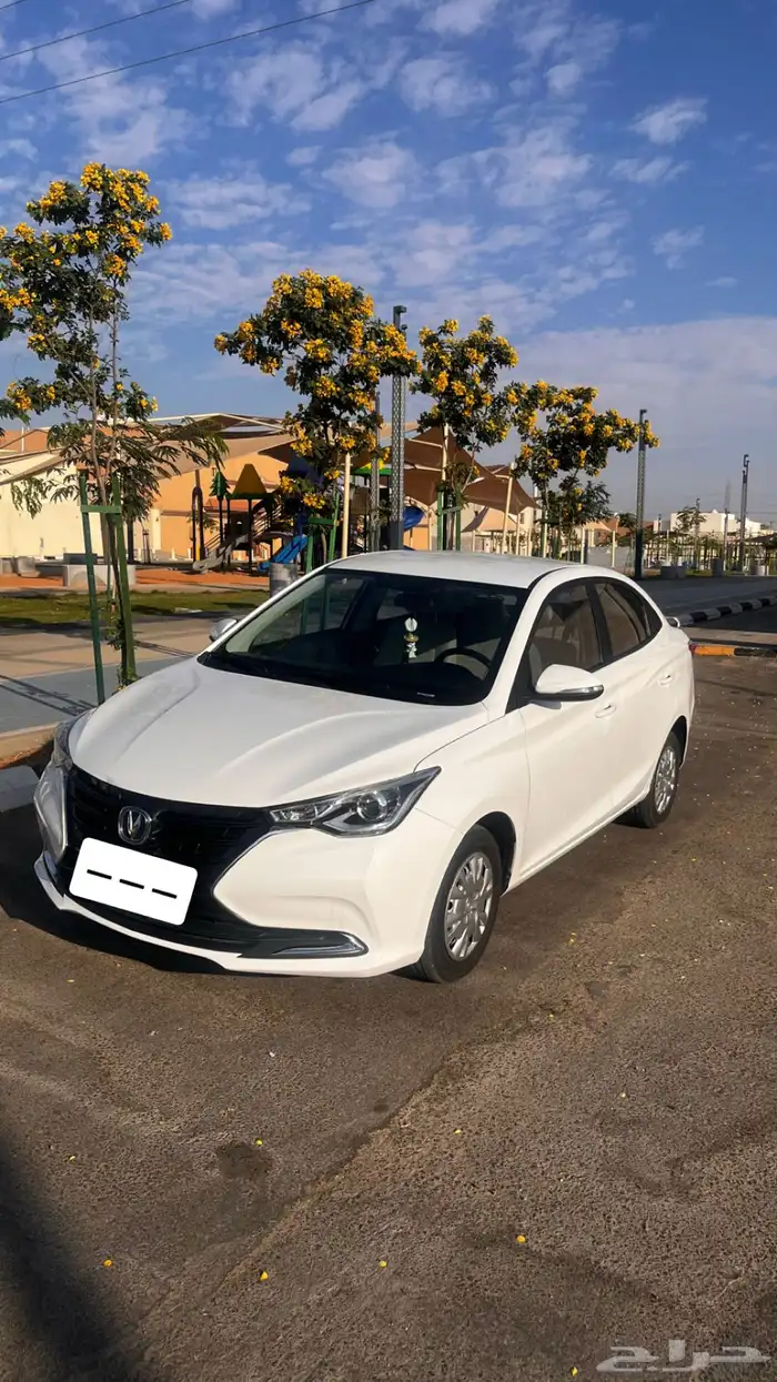 شانجان السفن 2023 نظيف ممشى قليل 1