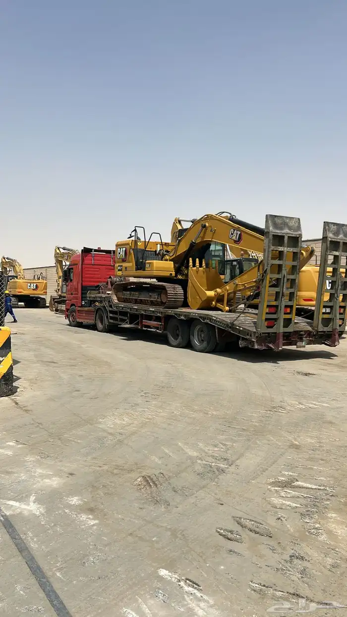 الوبد متواجد في القصيم 1